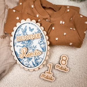 Cartes étapes Lapin